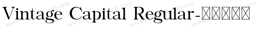 Vintage Capital Regular字体转换